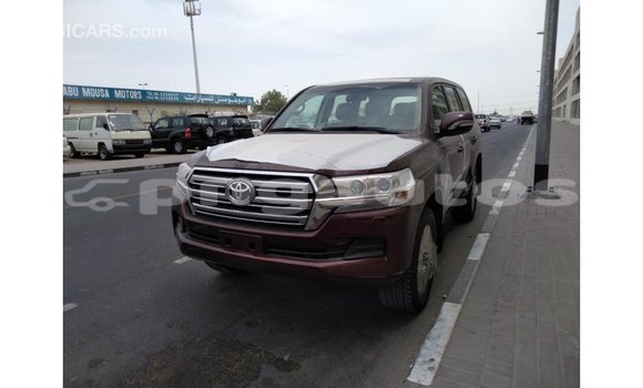 Buy Import Toyota Land Cruiser Brown Car in Import - Dubai in Enga Buy Import Toyota Land Cruiser Brown Car in Import - Dubai in Enga