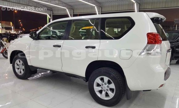 Buy Import Toyota Prado White Car in Import - Dubai in Enga Buy Import Toyota Prado White Car in Import - Dubai in Enga