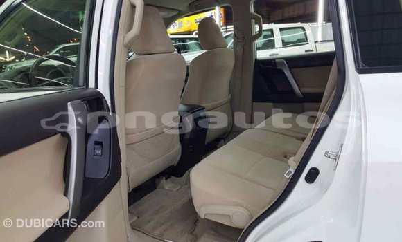 Buy Import Toyota Prado White Car in Import - Dubai in Enga Buy Import Toyota Prado White Car in Import - Dubai in Enga