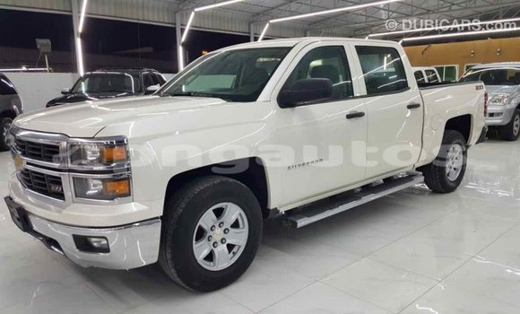 Buy Import Chevrolet Silverado White Car in Import - Dubai in Enga Buy Import Chevrolet Silverado White Car in Import - Dubai in Enga