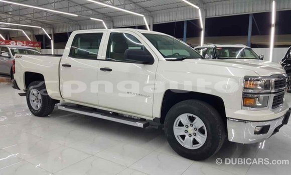 Buy Import Chevrolet Silverado White Car in Import - Dubai in Enga Buy Import Chevrolet Silverado White Car in Import - Dubai in Enga