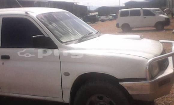 Buy Used Mitsubishi Triton Other Car in Kerema in Gulf