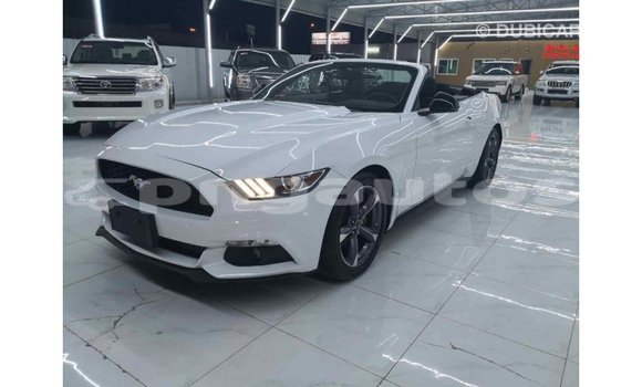 Buy Import Ford Mustang White Car in Import - Dubai in Enga Buy Import Ford Mustang White Car in Import - Dubai in Enga