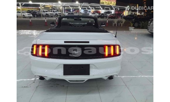Buy Import Ford Mustang White Car in Import - Dubai in Enga Buy Import Ford Mustang White Car in Import - Dubai in Enga