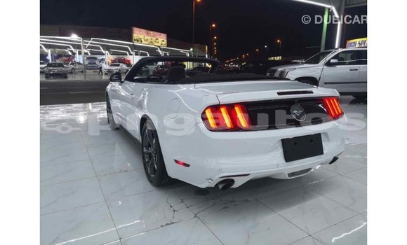 Buy Import Ford Mustang White Car in Import - Dubai in Enga Buy Import Ford Mustang White Car in Import - Dubai in Enga