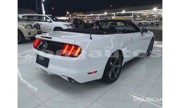 Buy Import Ford Mustang White Car in Import - Dubai in Enga Buy Import Ford Mustang White Car in Import - Dubai in Enga