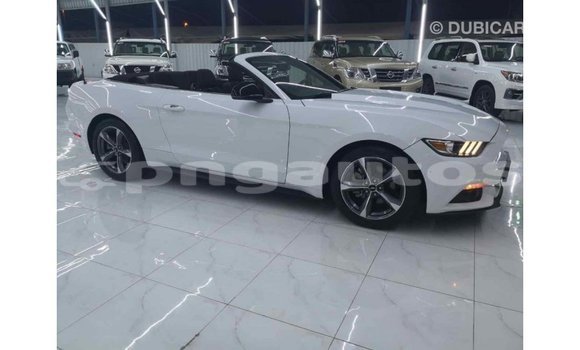 Buy Import Ford Mustang White Car in Import - Dubai in Enga Buy Import Ford Mustang White Car in Import - Dubai in Enga