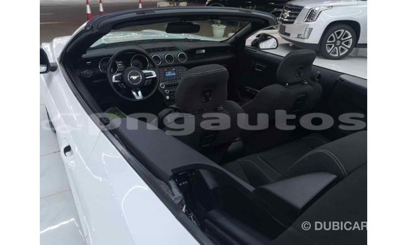 Buy Import Ford Mustang White Car in Import - Dubai in Enga Buy Import Ford Mustang White Car in Import - Dubai in Enga