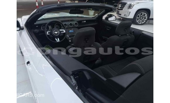 Buy Import Ford Mustang White Car in Import - Dubai in Enga Buy Import Ford Mustang White Car in Import - Dubai in Enga