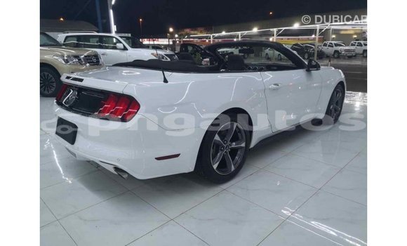 Buy Import Ford Mustang White Car in Import - Dubai in Enga Buy Import Ford Mustang White Car in Import - Dubai in Enga