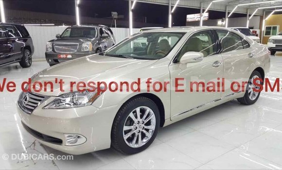 Buy Import Lexus 350 Other Car in Import - Dubai in Enga Buy Import Lexus 350 Other Car in Import - Dubai in Enga