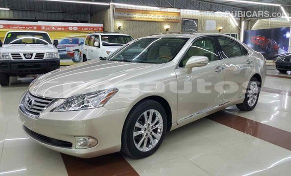Buy Import Lexus 350 Other Car in Import - Dubai in Enga Buy Import Lexus 350 Other Car in Import - Dubai in Enga