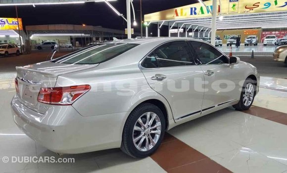 Buy Import Lexus 350 Other Car in Import - Dubai in Enga Buy Import Lexus 350 Other Car in Import - Dubai in Enga