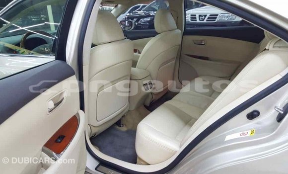 Buy Import Lexus 350 Other Car in Import - Dubai in Enga Buy Import Lexus 350 Other Car in Import - Dubai in Enga