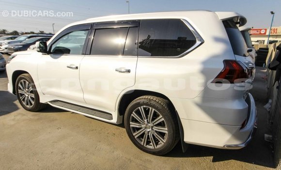 Buy Import Lexus LX White Car in Import - Dubai in Enga Buy Import Lexus LX White Car in Import - Dubai in Enga