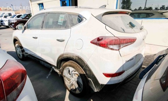 Buy Import Hyundai Tucson White Car in Import - Dubai in Enga Buy Import Hyundai Tucson White Car in Import - Dubai in Enga