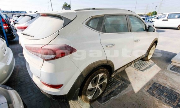 Buy Import Hyundai Tucson White Car in Import - Dubai in Enga Buy Import Hyundai Tucson White Car in Import - Dubai in Enga