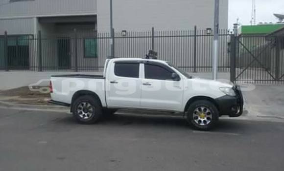 Buy Used Toyota Hilux Other Car in Kundiawa in Simbu Buy Used Toyota Hilux Other Car in Kundiawa in Simbu
