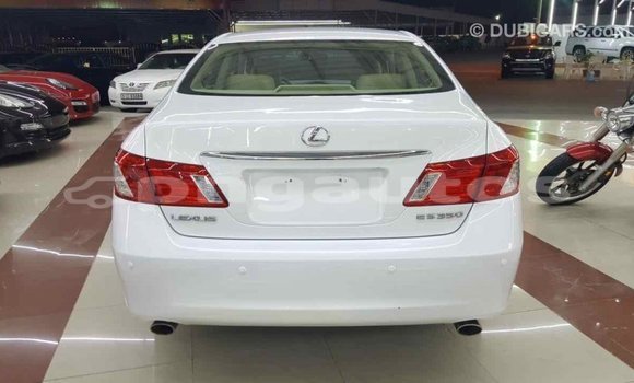 Buy Import Lexus 350 White Car in Import - Dubai in Enga Buy Import Lexus 350 White Car in Import - Dubai in Enga