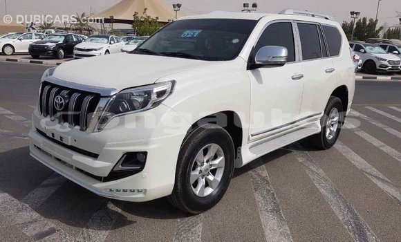 Buy Import Toyota Prado White Car in Import - Dubai in Enga Buy Import Toyota Prado White Car in Import - Dubai in Enga