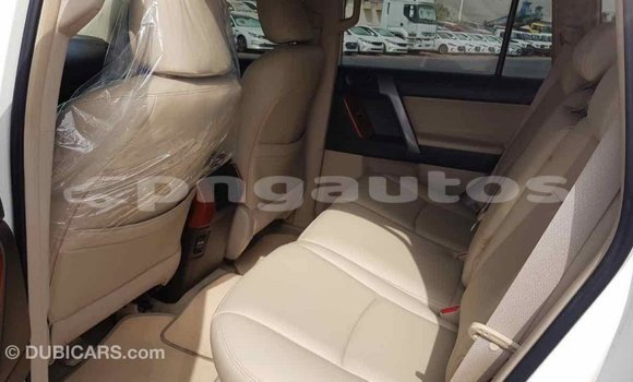 Buy Import Toyota Prado White Car in Import - Dubai in Enga Buy Import Toyota Prado White Car in Import - Dubai in Enga
