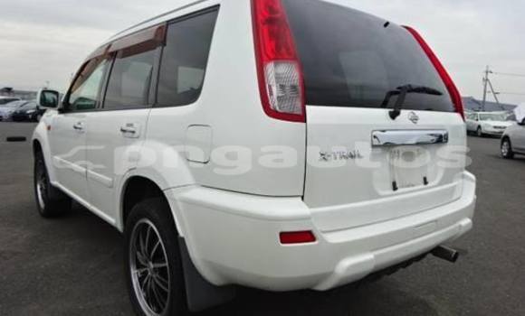 Buy Used Nissan X–Trail Other Car in Kokoda in Oro Buy Used Nissan X–Trail Other Car in Kokoda in Oro