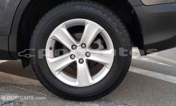 Buy Import Toyota RAV4 Other Car in Import - Dubai in Enga Buy Import Toyota RAV4 Other Car in Import - Dubai in Enga