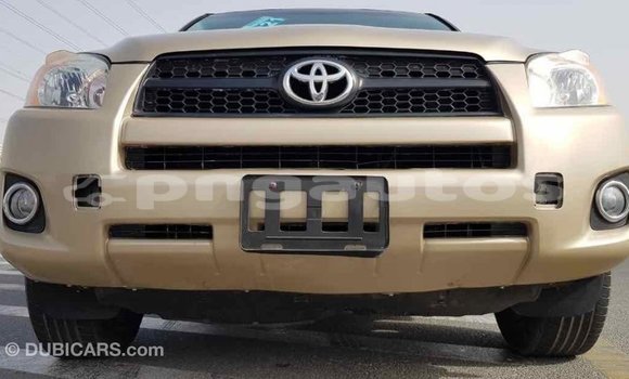 Buy Import Toyota RAV4 Other Car in Import - Dubai in Enga Buy Import Toyota RAV4 Other Car in Import - Dubai in Enga