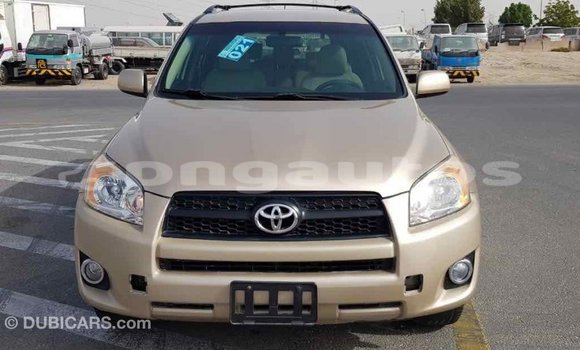 Buy Import Toyota RAV4 Other Car in Import - Dubai in Enga Buy Import Toyota RAV4 Other Car in Import - Dubai in Enga