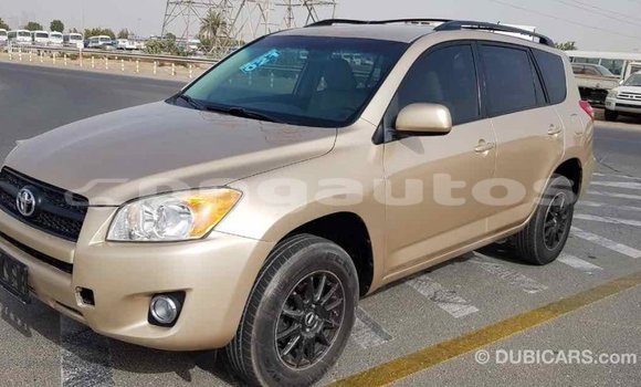 Buy Import Toyota RAV4 Other Car in Import - Dubai in Enga Buy Import Toyota RAV4 Other Car in Import - Dubai in Enga
