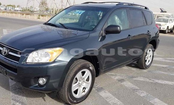 Buy Import Toyota RAV4 Green Car in Import - Dubai in Enga Buy Import Toyota RAV4 Green Car in Import - Dubai in Enga