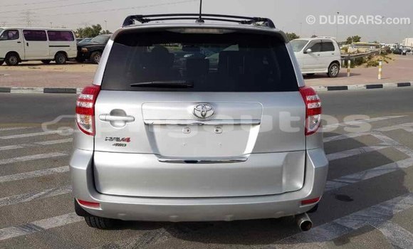 Buy Import Toyota RAV4 Other Car in Import - Dubai in Enga Buy Import Toyota RAV4 Other Car in Import - Dubai in Enga