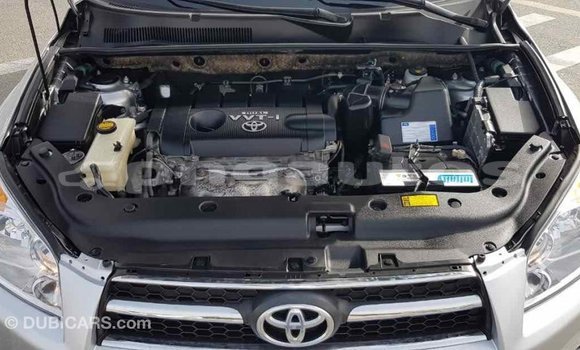 Buy Import Toyota RAV4 Other Car in Import - Dubai in Enga Buy Import Toyota RAV4 Other Car in Import - Dubai in Enga